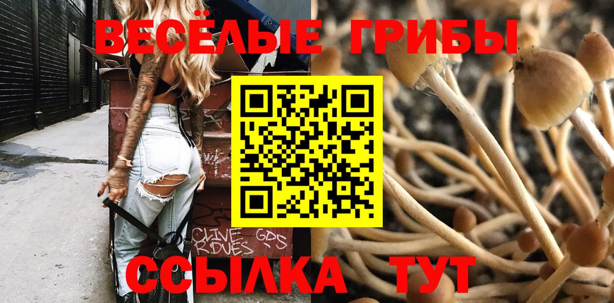 Галлюциногенные грибы мухоморы Кызыл