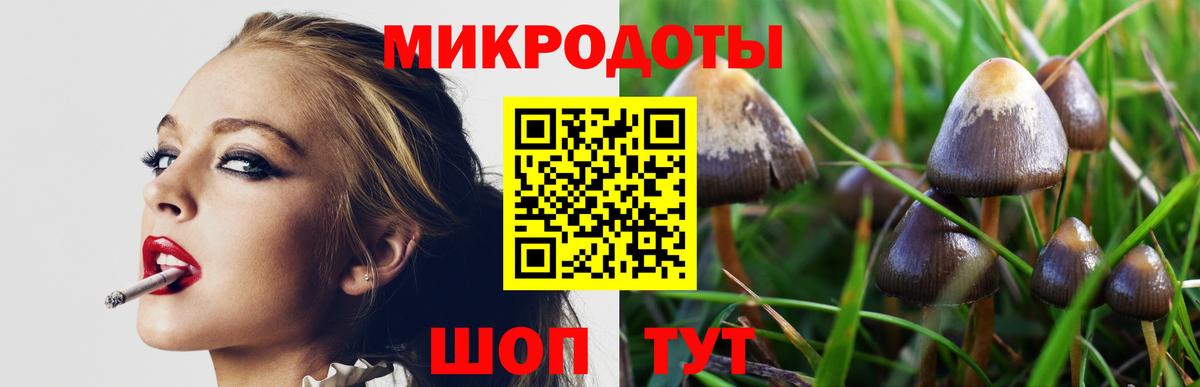 Кызыл  Галлюциногенные грибы Psilocybine cubensis  Галлюциногенные грибы MAGIC MUSHROOMS  наркота  Вход с VPN 